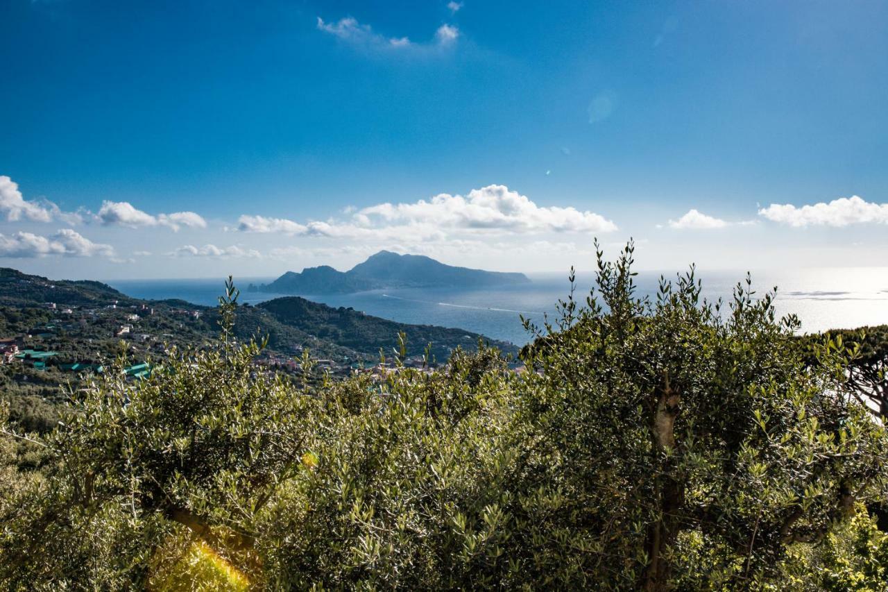 Villa Bellatrix Massa Lubrense Luaran gambar
